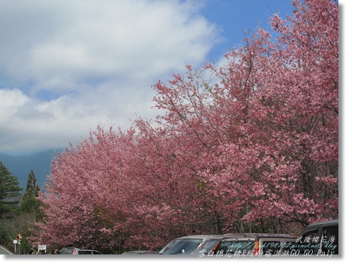 IMG_0323.JPG IMG_0323.JPG