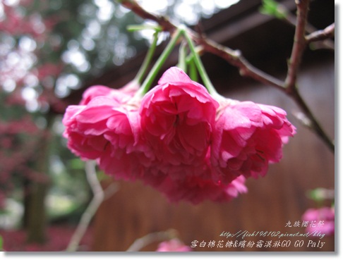 IMG_0057.JPG IMG_0057.JPG