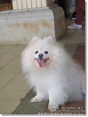 IMG_2174.JPG IMG_2174.JPG