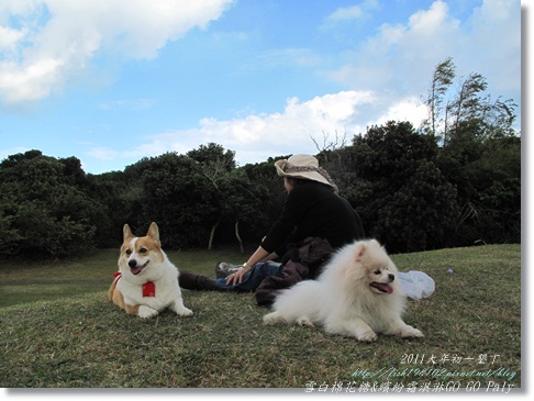 IMG_2212.JPG IMG_2212.JPG