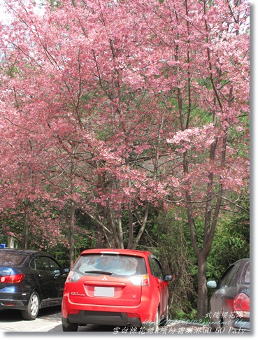 IMG_0321.JPG IMG_0321.JPG