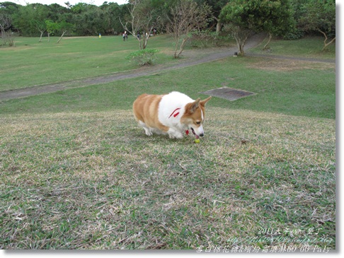 IMG_2195.JPG IMG_2195.JPG