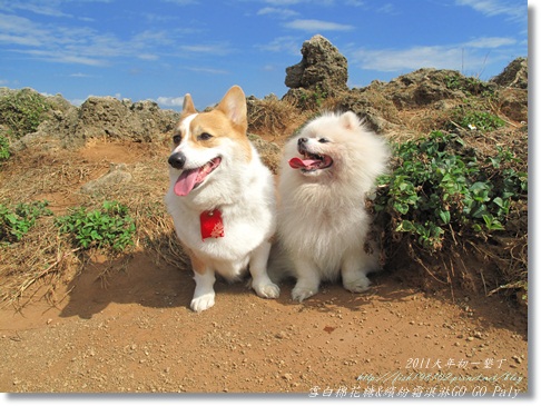 IMG_2140.JPG IMG_2140.JPG