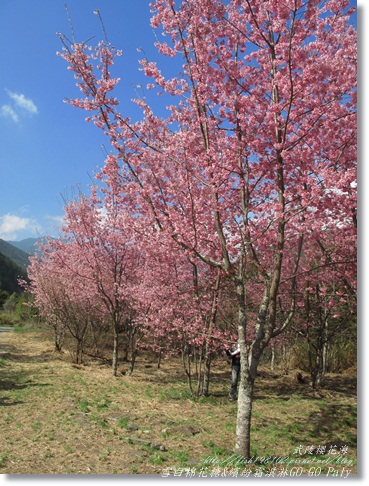 IMG_0468.JPG IMG_0468.JPG