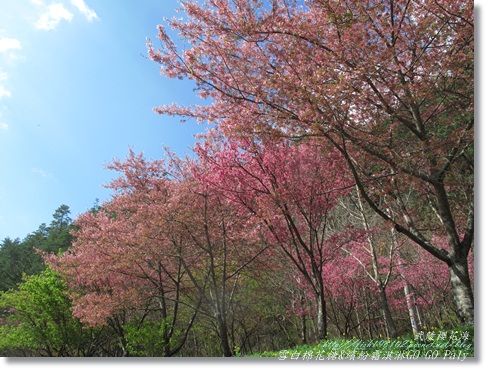 IMG_0252.JPG IMG_0252.JPG