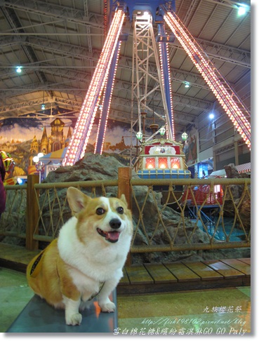 IMG_0143.JPG IMG_0143.JPG