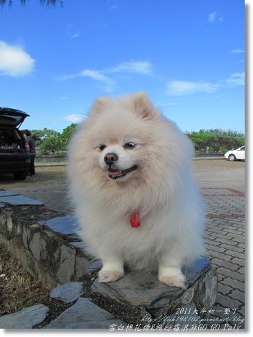 IMG_2074.JPG IMG_2074.JPG