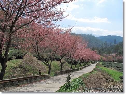 IMG_0347.JPG IMG_0347.JPG