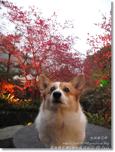 IMG_0122.jpg IMG_0122.jpg