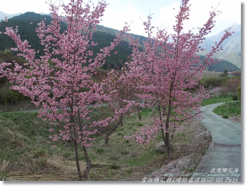 IMG_0486.JPG IMG_0486.JPG