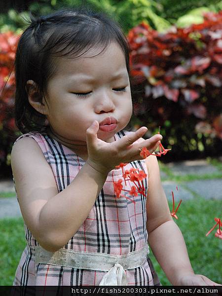 DSC_0254.jpg DSC_0254.jpg