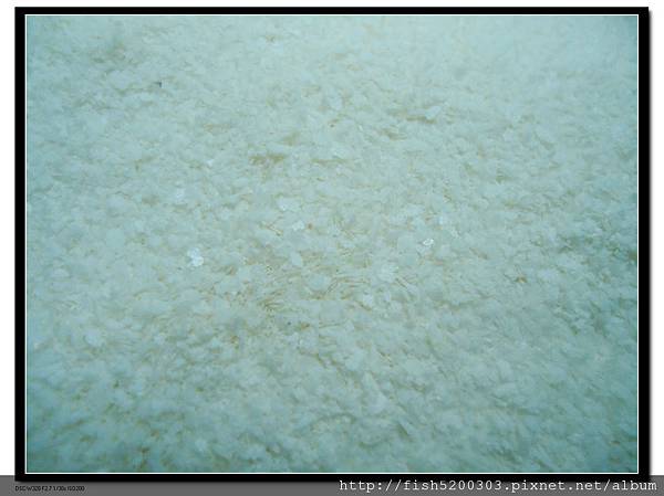 DSC03739.JPG DSC03739.JPG