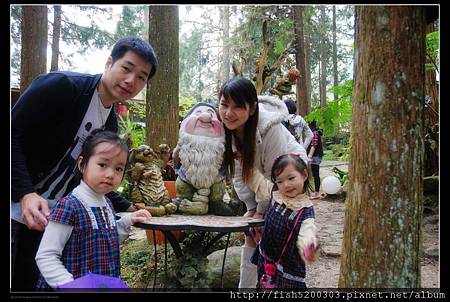 彷彿置身在現實版的童話森林裡 彷彿置身在現實版的童話森林裡