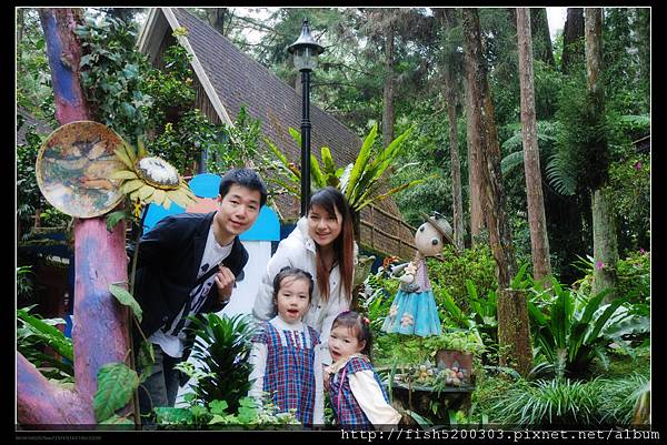 彷彿置身在現實版的童話森林裡這區好像是艾莉絲夢遊仙境 彷彿置身在現實版的童話森林裡這區好像是艾莉絲夢遊仙境