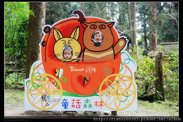 童話森林帶你走入童話世界