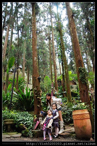 飯店大門一出來就是仙朵拉童話森林而卡哇伊的擺飾就在杉木林下 飯店大門一出來就是仙朵拉童話森林而卡哇伊的擺飾就在杉木林下