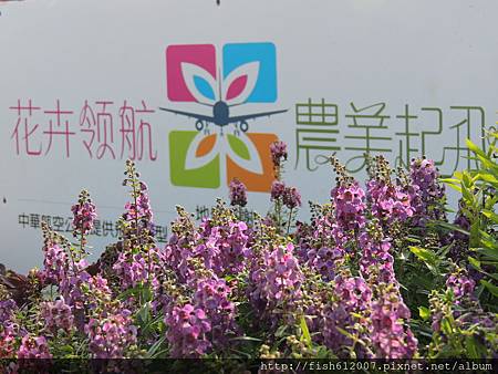 {fishraymonf}20141028 花卉領航 農業起飛6 {fishraymonf}20141028 花卉領航 農業起飛6