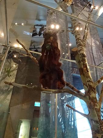 DSC00869.JPG DSC00869.JPG