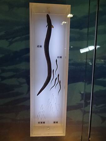 DSC00890.JPG DSC00890.JPG