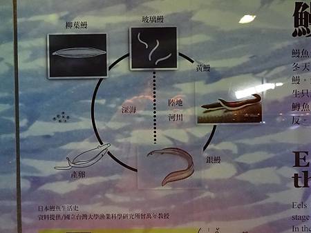 DSC00891.JPG DSC00891.JPG