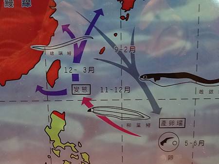 DSC00893.JPG DSC00893.JPG