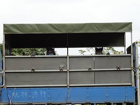 DSC00941.JPG DSC00941.JPG