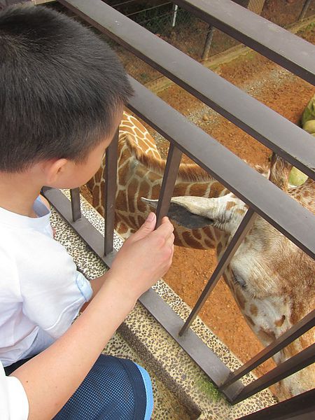 IMG_9727.JPG IMG_9727.JPG