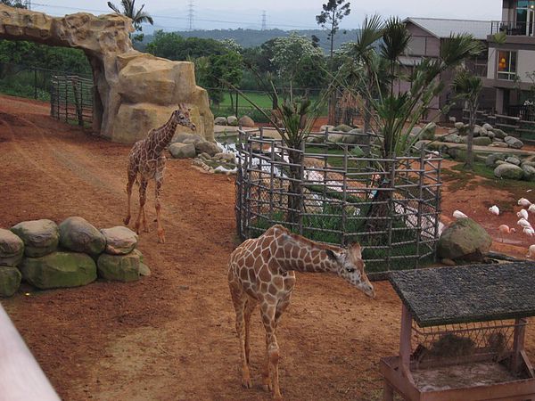 IMG_9672.JPG IMG_9672.JPG