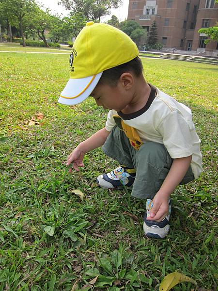 IMG_9187 - 複製.JPG