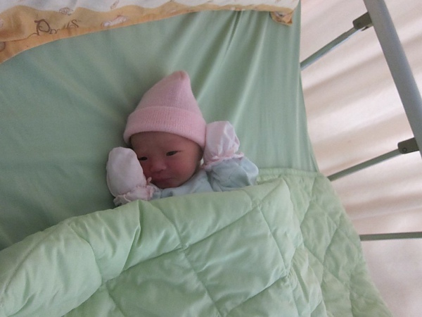 IMG_1636.JPG IMG_1636.JPG