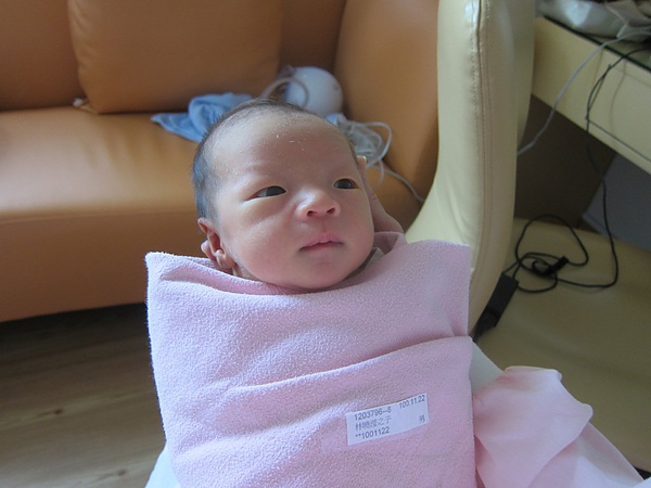 IMG_1702.JPG IMG_1702.JPG