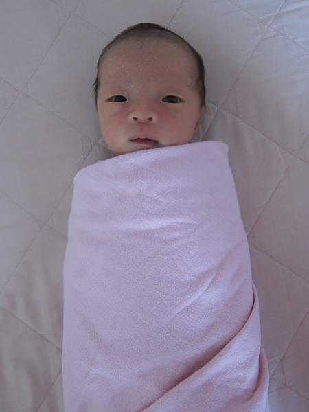 IMG_1714.JPG IMG_1714.JPG