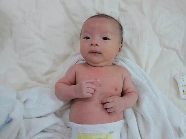 IMG_2560.JPG IMG_2560.JPG