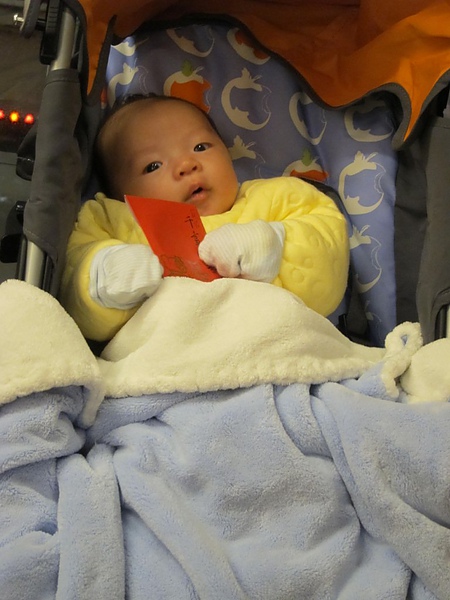 IMG_2607.JPG IMG_2607.JPG