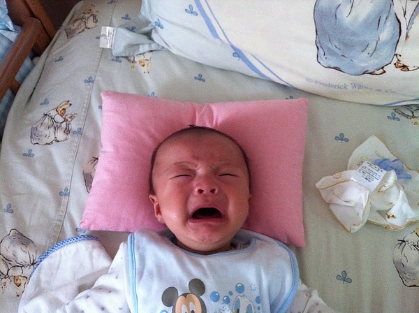 IMG_1049.JPG IMG_1049.JPG