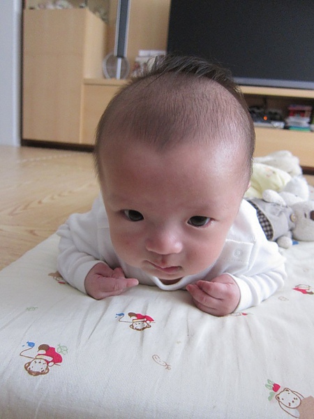 IMG_3621.JPG IMG_3621.JPG