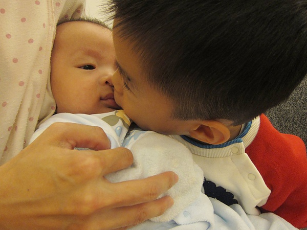 IMG_3690.JPG IMG_3690.JPG