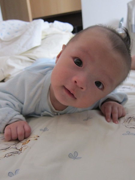 IMG_3891.JPG IMG_3891.JPG