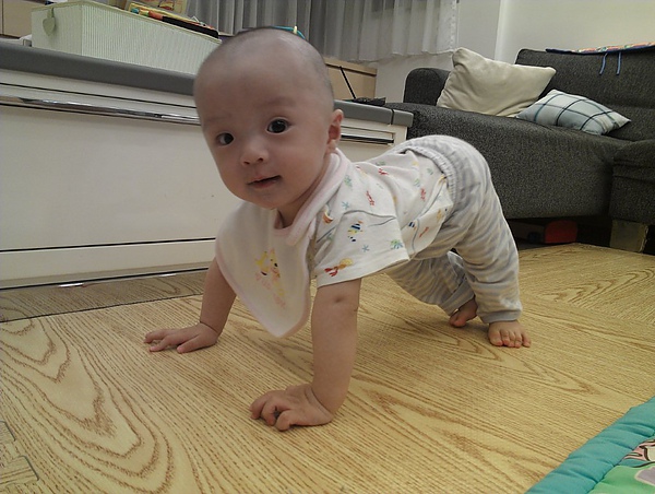 IMAG0535.jpg IMAG0535.jpg