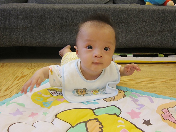 IMG_5003.JPG IMG_5003.JPG