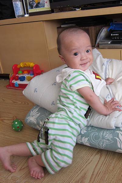 很愛攀爬 很愛攀爬