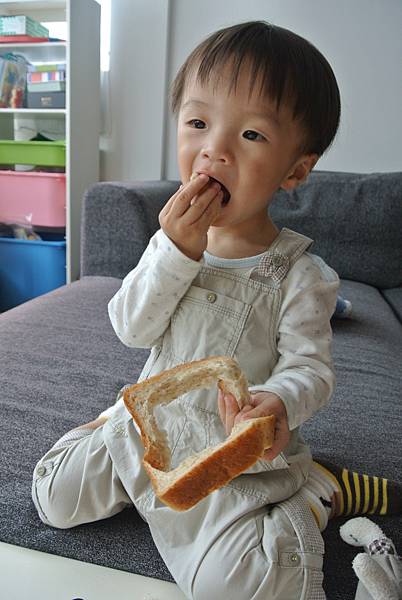 DSC_4981.JPG DSC_4981.JPG