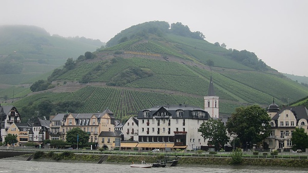 抵達萊因河畔的小鎮 - R&uuml;desheim