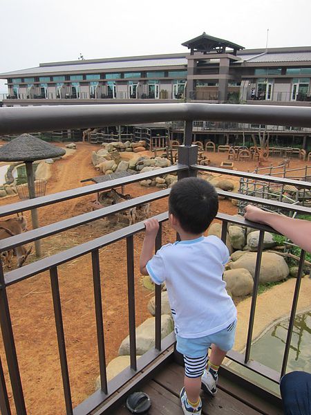 IMG_9593.JPG IMG_9593.JPG