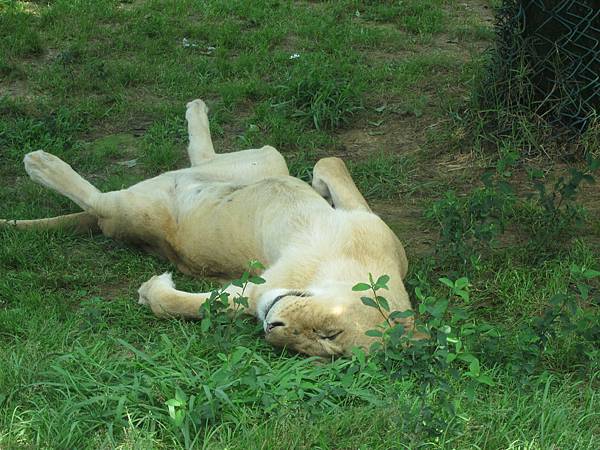 IMG_9787.JPG IMG_9787.JPG