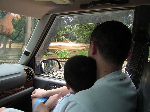 IMG_9763.JPG IMG_9763.JPG