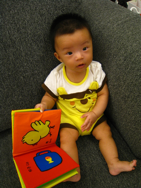 IMG_3595.JPG IMG_3595.JPG