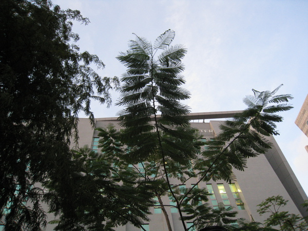 IMG_4245.JPG IMG_4245.JPG