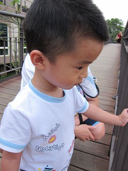 IMG_9601.JPG IMG_9601.JPG