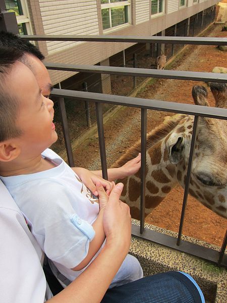 IMG_9729.JPG IMG_9729.JPG